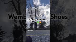 Wembys new “astronomical” shoes #trending #ytshorts #amazing #basketball #nba #hoops #wemby