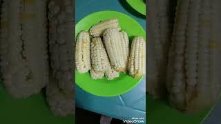 BOILED WHITE CORN (MUKBANG) NILAGANG PUTING MAIS VIDEOS / #J Lay Channel