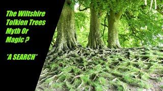 The Wiltshire Tolkien Trees Myth Or Magic ?