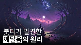 이것이 위빠싸나의 핵심이며 붓다가 발견한 깨달음의 원리입니다 | 보면 사라진다, 김열권