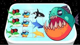 MERGE Fish Hunting, Level Up Battle : Shark Evolution 3d Merge War,
