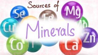 Sources of Minerals | Food | Minerals | Nutrition | Learn to Remember