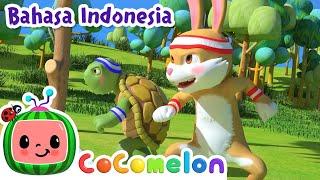 Kura-kura dan Kelinci | CoComelon Bahasa Indonesia - Lagu Anak Anak