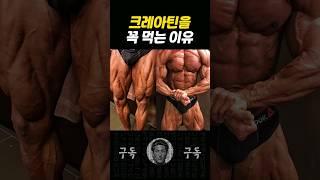 내가 크레아틴을 무조건 먹는 이유