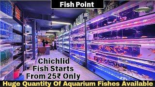 Fish Point Aquarium Shop High Quality Aquarium Fishes At Sarojini Nagar Delhi #hmhobbyist #aquarium