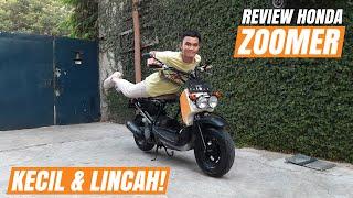 KECIL & LINCAH! Review Honda Zoomer