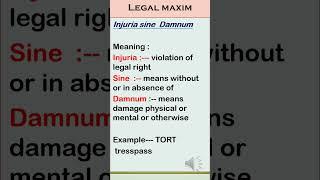 Tort legal maxim