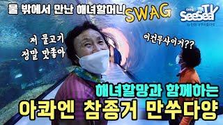 해녀할망이 제주어로 설명해주는 아쿠아플라넷 제주! 어디까지 알아들을 수 있을까?