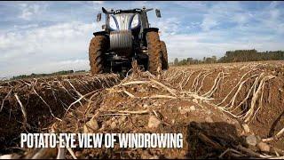 HAFNER SEED FARMS POTATO HARVEST 2024