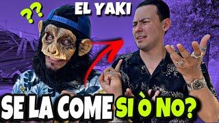 El yaki y chango 0te LO INCOMODE CON MI PREGUNTA.