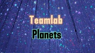 Immersive Walkthrough of TeamLab Planets Tokyo  デジタルアート展体験 | Tokyo Digital Art Exhibition