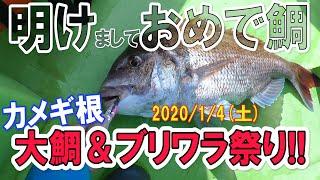 【葉山沖】大鯛＆ブリワラ祭り!! (2020/1/4) 葉山芝崎五エム丸