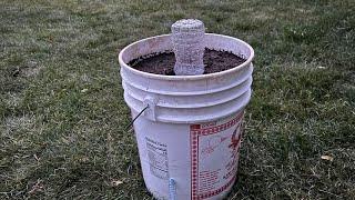 【DIY】食品级自动吸水桶，简单实用零成本 how to build the BEST self-watering  bucket