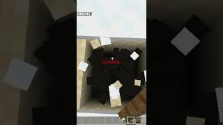 Minecraft Tiktok Hacks #minecraft #shorts #shortvideo