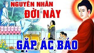 Chuyện Nhân Quả Báo Ứng, Nguyên Nhân Vì Sao ĐỜI NÀY GẶP ÁC BÁO - Dư Báo Tiền KIẾP... Nghe Mà Sợ