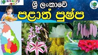 පළාත් පුෂ්ප (ශ්‍රී ලංකාවේ පළාත් පුෂ්ප) Provincial Flowers of srilanka*primary අපි*