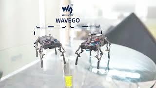 WAVEGO,12-DOF Bionic Dog-Like Robot,Open Source For ESP32/PI4B, Facial Recognition,Color Tracking...