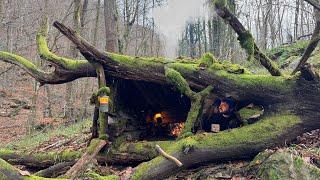 Bushcraft SURVIVAL Shelter; Building a Natural Dugout inside Big Tree. Winter Camping