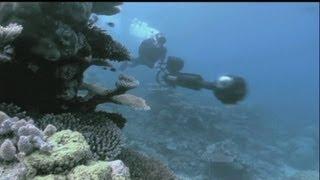 euronews hi-tech - Explore Great Barrier Reef... without getting wet