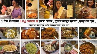 1 दिन में अकेले बनाया 5 Kg आंवला से Amla Recipes Hair, Skin & Health, Murabba, Pickle , Juice & More