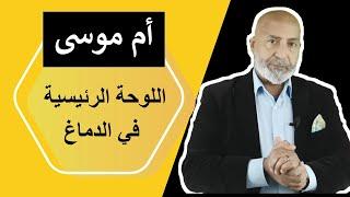 من هي أم موسى ؟ وما هي اللوحة الرئيسية في الدماغ؟ | | معلومات مزلزلة جداً 