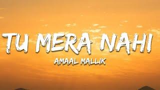 Amaal Mallik - Tu Mera Nahi (Lyrics)