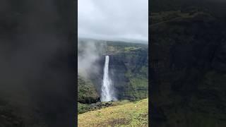 Aadrai Jungle Mini Vlog #aadrai adventure #shorts #monsoon trek
