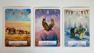 Your Future Spouse - Pick a Card - Timeless Tarot