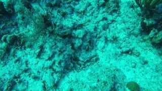 GoPro - Turks and Caicos Islands - Beautiful by Nature