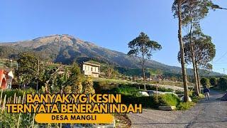 MENUJU DESA TERINDAH DI KALIANGKRIK MAGELANG - Desa Wisata Mangli di Lereng Gunung Sumbing