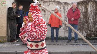 Fasnet, Umzug in Mochenwangen Teil1