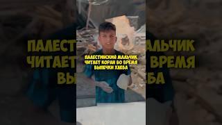 Сура 39. Аз-Зумар (Толпы) аят 53 Палестинец #quran #islam #palestine #коран #ислам #shorts