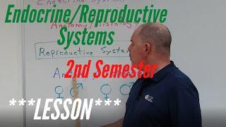 Endocrine and Reproductive Systems:  Lesson for A&P Lab, 2nd Semester.  Anatomy and Histology