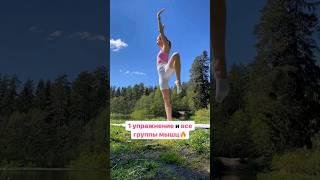 1 упражнение и все группы мышц 