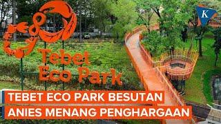 Tebet Eco Park Karya Anies Raih Penghargaan President Award Singapore 2023