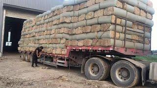 Silage baler machine price in pakistan