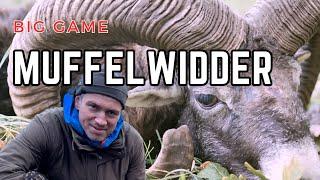 Big Dreams - Big Game - Hunt for a strong mouflon