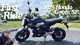 First ride and impression of the 2025 Honda Grom SP #hudsonmoto