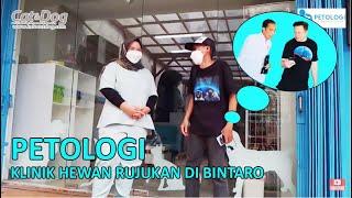 KLINIK HEWAN RUJUKAN DI BINTARO "PETOLOGI"