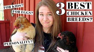 3 BEST CHICKEN BREEDS | Backyard & Family Flocks | Favorite Poultry Varieties For Beginners | Chicks