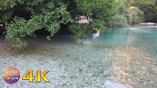 4K Relaxing Acheron river ambience - Melody song of a Nightigale and other local birds