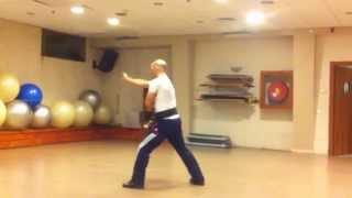 Wumei Kung Fu Israel Leu-ng Yi Kuen - Duality Fist Form