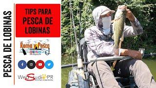 Tips Para Pesca de Lobinas en 1 Minuto #Shorts - Rema y Pesca