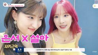 [우주소녀] 은서 X 설아 케미 모음