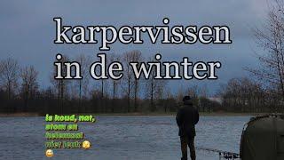 Karpervissen in de winter in Nederland. Zomaar een sessie!