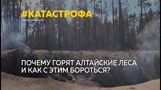 Специальный репортаж: Почему горят алтайские леса и как с этим бороться?