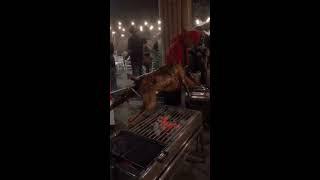 kambing guling ajiib terecommended