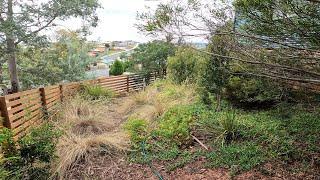 Terribly Neglected OVERGROWN Australian NATIVE Garden | Complete RENOVATION