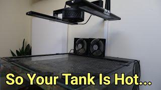 Let's Talk Tank Temperatures | The Prestige Reef Dork Show Ep 54