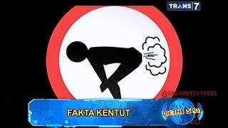 On The Spot - Fakta Unik Kentut